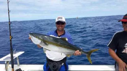 gofish-mossel-bay-11-640x360-640x360